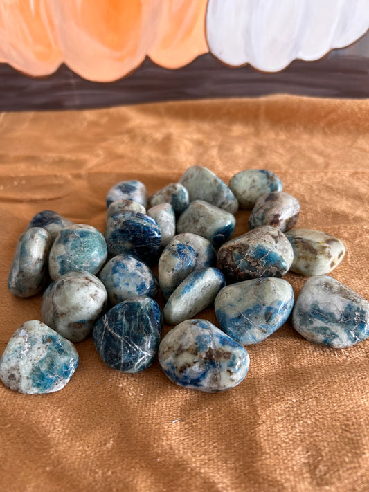 Blue Apatite, Tumbled